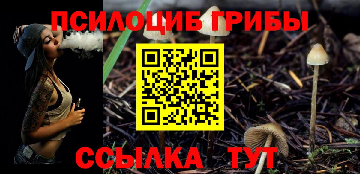 Боровичи  Галлюциногенные грибы Magic Shrooms  даркнет сайт  Вход с VPN 