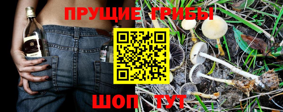 Псилоцибиновые грибы Magic Shrooms Боровичи